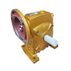 Agricultural Industrial Gearbox Wpds Horizontal Worm Reducer